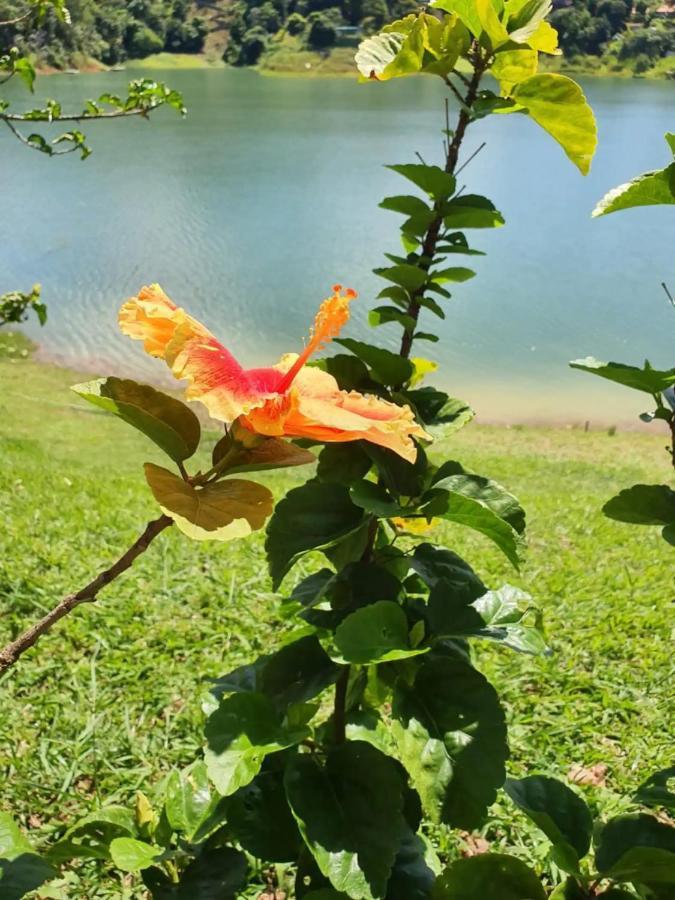 Maravilhoso Sitio Na Beira Da Represa Villa Igaratá Dış mekan fotoğraf